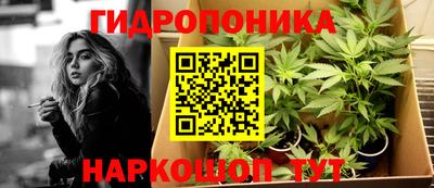 spice Пенза